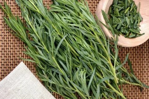 تصویر 3 از فروش پر طرفدار سبزی ترخون خشک + قیمت روز